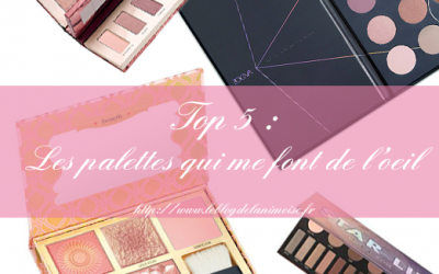 TOP 5 : Les palettes qui me font de l’oeil