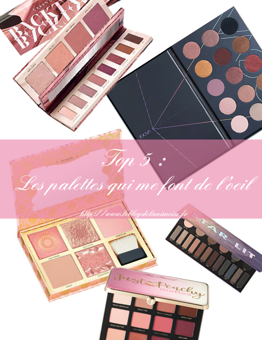 TOP 5 : Les palettes qui me font de l’oeil