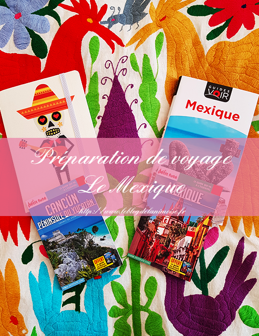 MEXIQUE : L’avant départ