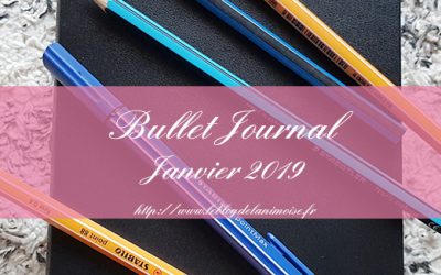 BULLET JOURNAL : PLAN WITH ME JANVIER 2019