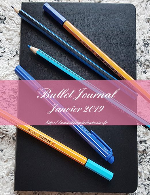 BULLET JOURNAL : PLAN WITH ME JANVIER 2019