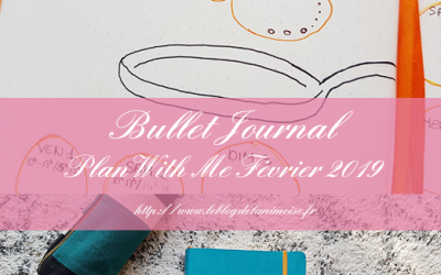 BULLET JOURNAL : Plan With Me Février 2019