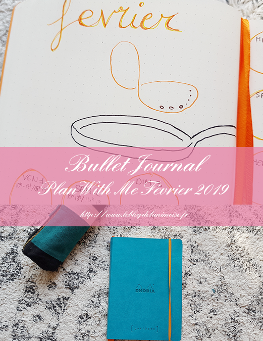 BULLET JOURNAL : Plan With Me Février 2019