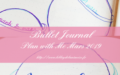 PLAN WITH ME : Mars 2019