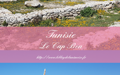 TUNISIE : Le Cap Bon