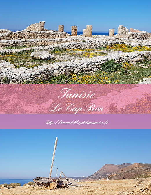 TUNISIE : Le Cap Bon