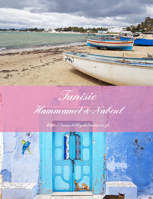 TUNISIE : Hammamet & Nabeul