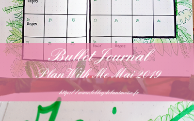 BULLET JOURNAL : Plan With Me Mai 2019