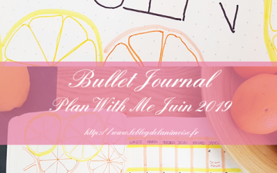 Bullet Journal : Plan With Me Juin 2019