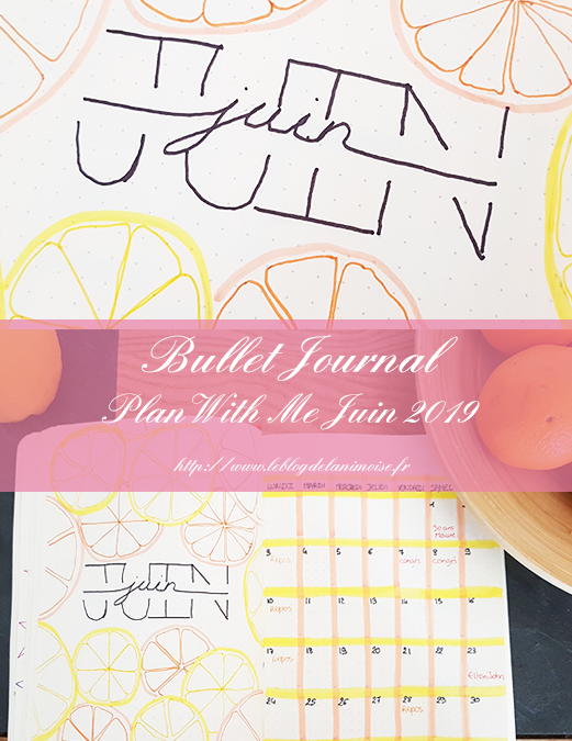 Bullet Journal : Plan With Me Juin 2019