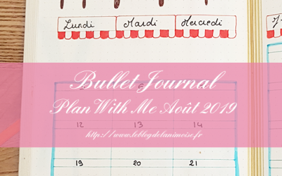 BULLET JOURNAL : Plan With Me Août