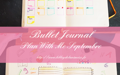 BULLET JOURNAL : Plan With Me Septembre 2019