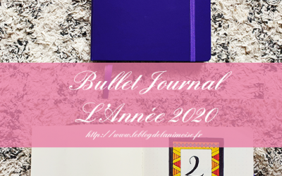 Le Bullet Journal de 2020