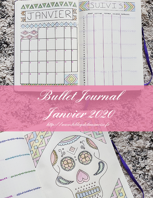 Bullet Journal : Janvier 2020