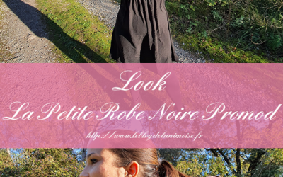 Look : La Petite Robe Noire de Promod