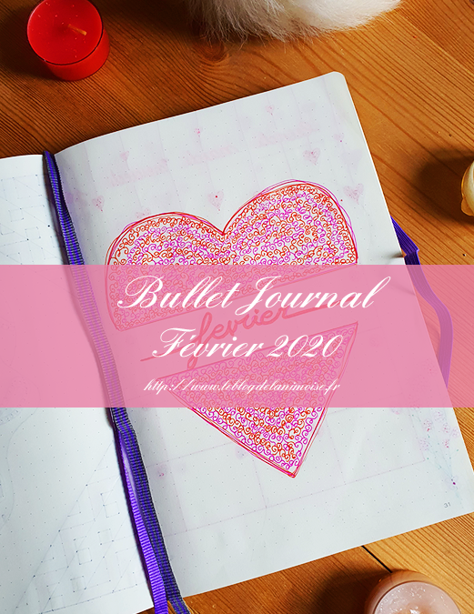 Bullet Journal : Février 2020