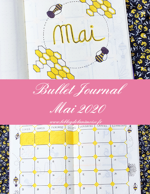 Bullet Journal : Mai 2020