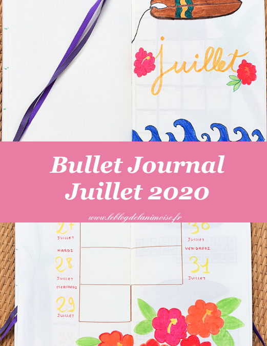 Bullet Journal : Juillet 2020