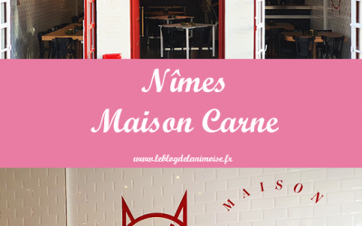 Nîmes : La Maison Carne