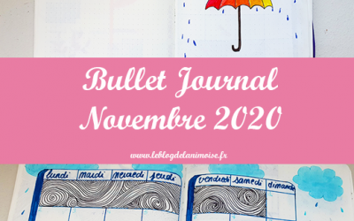 Bullet Journal : Novembre 2020