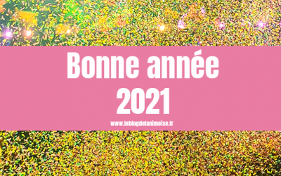 Bonne Année 2021