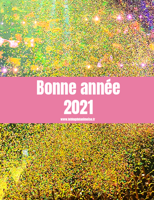 Bonne Année 2021