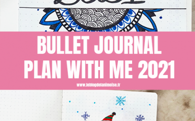 Bullet journal : Set Up et Janvier 2021