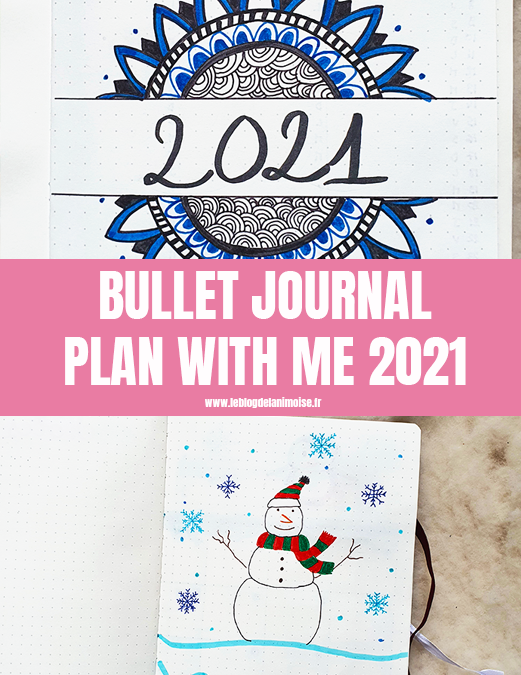 Bullet journal : Set Up et Janvier 2021