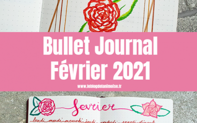 Bullet Journal : Février 2021