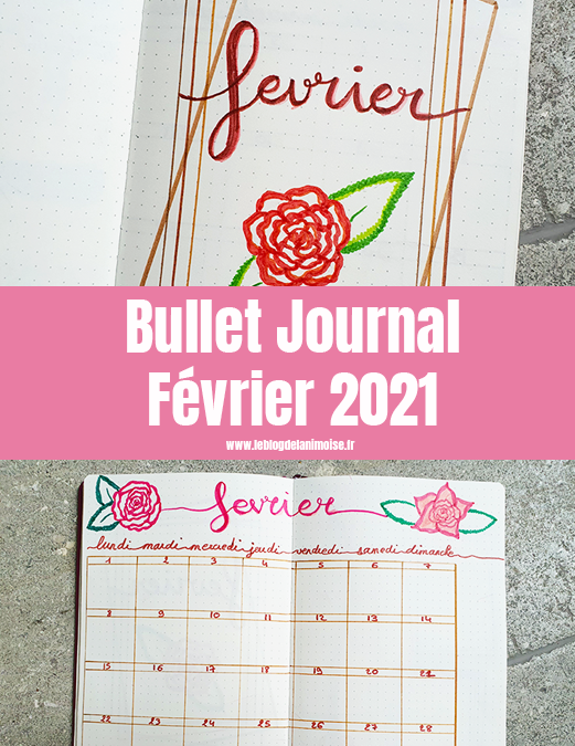 Bullet Journal : Février 2021